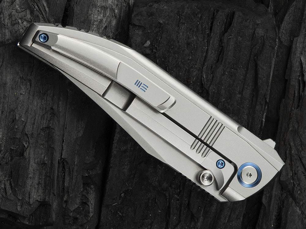 # ** HERE NOW ** - WE Knives - WE22041 EZINTA - 3.99 INCH M390 Blade - INTEGRAL HANDLE