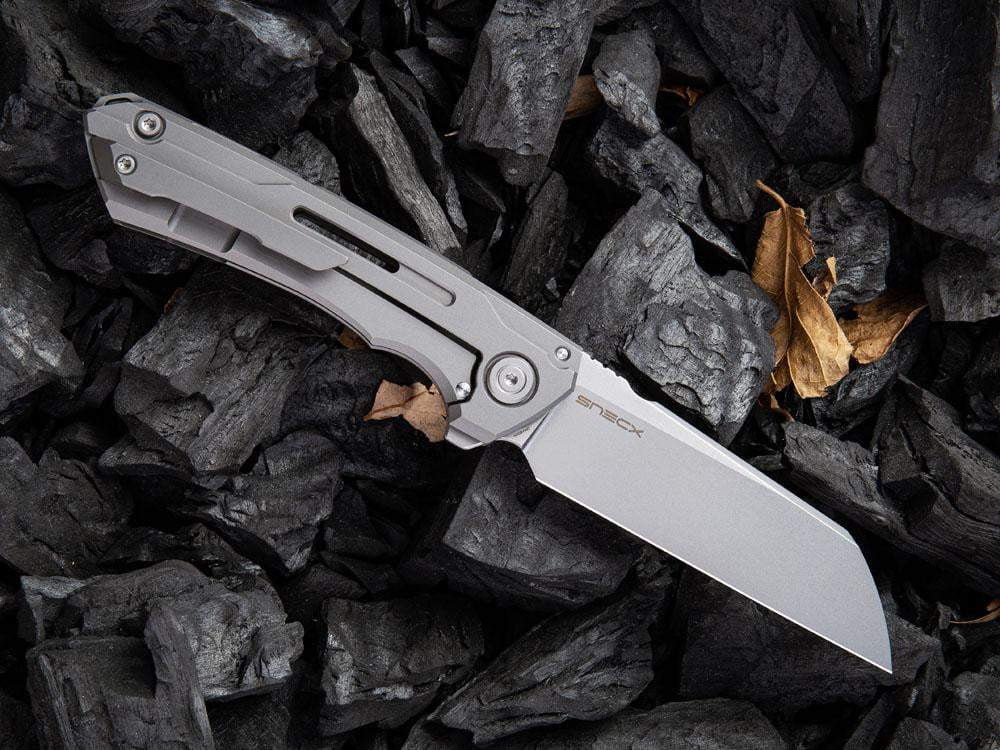 ** BACK AGAIN ** - WE Knife 2003 - SNECX MINI BUSTER - 20CV Blade - Titanium Handle - True Talon