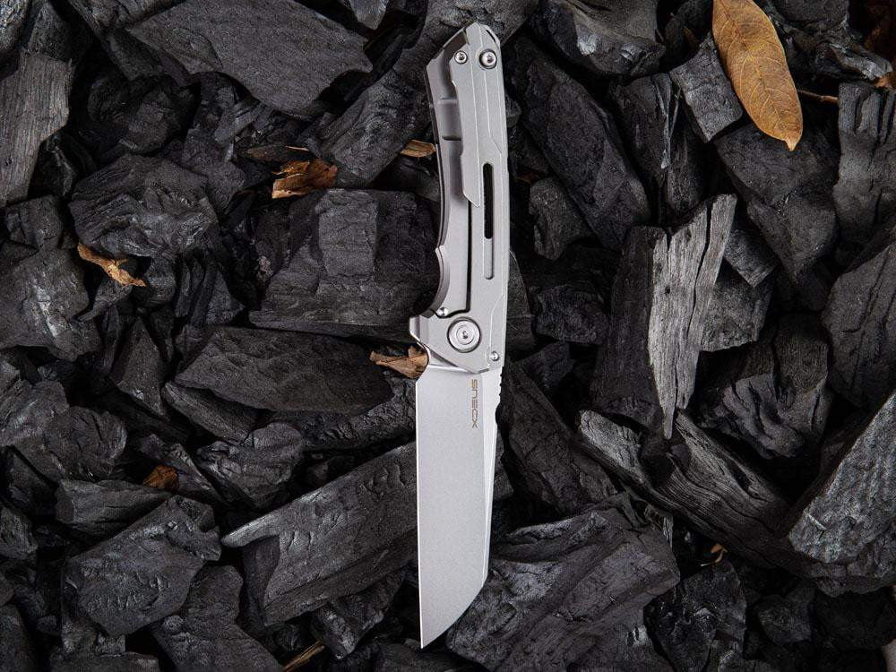 ** BACK AGAIN ** - WE Knife 2003 - SNECX MINI BUSTER - 20CV Blade - Titanium Handle - True Talon