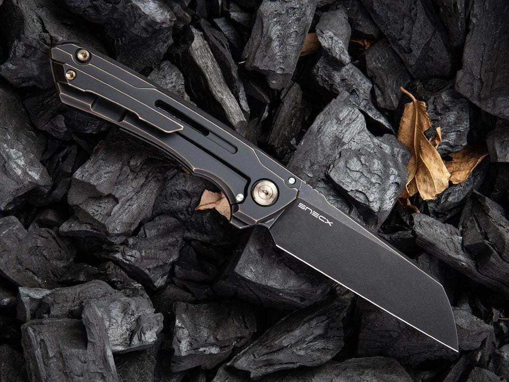 ** BACK AGAIN ** - WE Knife 2003 - SNECX MINI BUSTER - 20CV Blade - Titanium Handle - True Talon