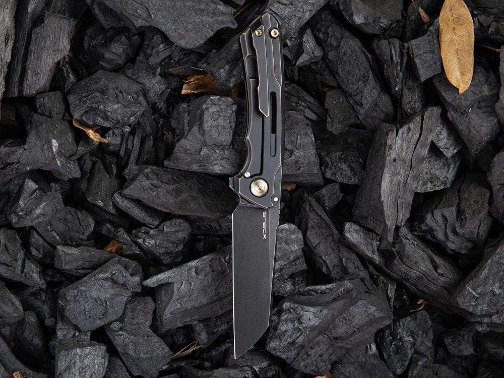 ** BACK AGAIN ** - WE Knife 2003 - SNECX MINI BUSTER - 20CV Blade - Titanium Handle - True Talon