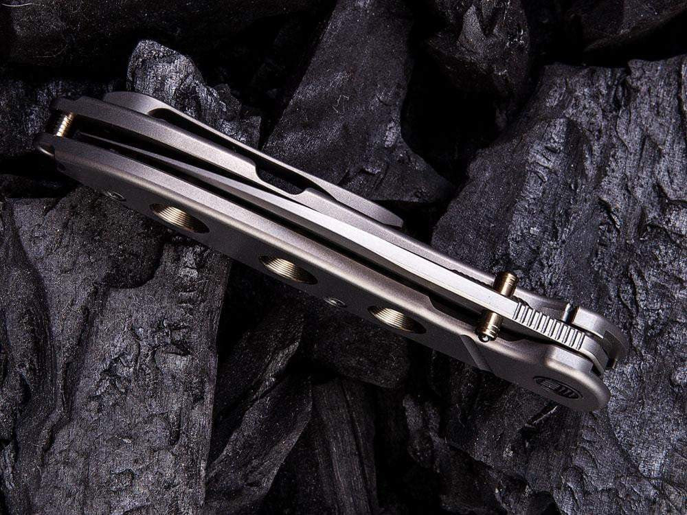 ** NOW HERE ** WE Knife 908 - SCHISM - S35VN Blade - True Talon
