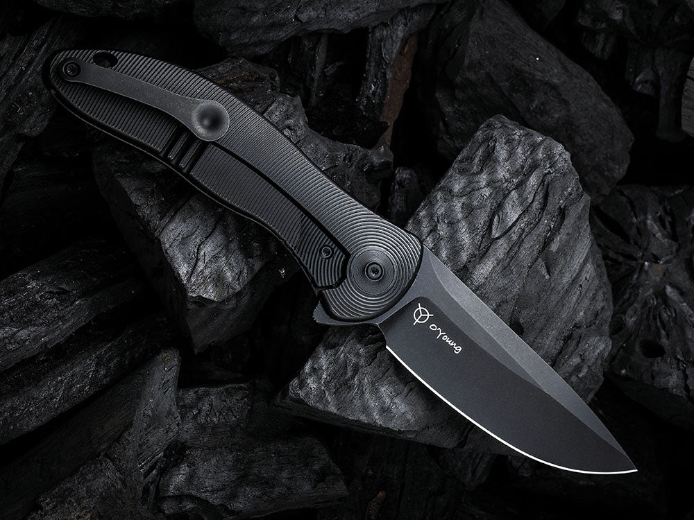 WE Knife WE18046- SYNERGY 2v2 - 20CV Blade - Integral Handle