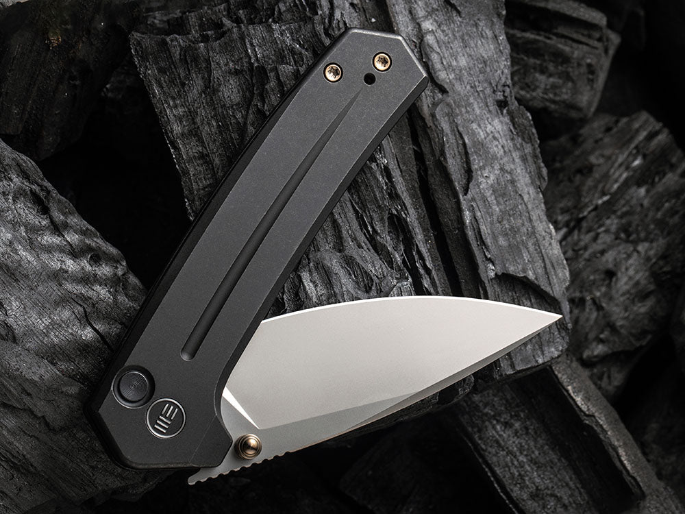 WE Knife WE21026B - CULEX BUTTON LOCK - 20CV Blade