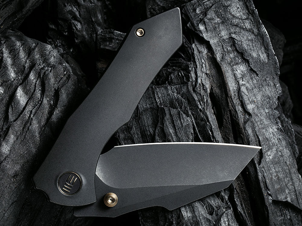 WE Knife - WE22005 HIFIN - Reverse Tanto 20CV Blade - Titanium Handle