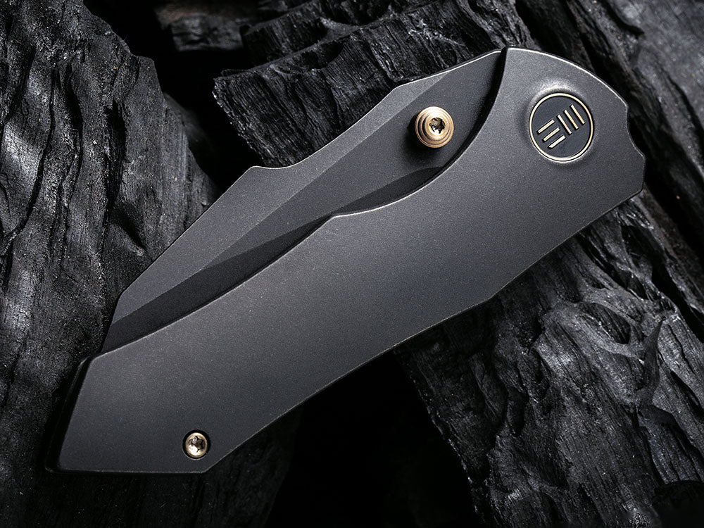 WE Knife - WE22005 HIFIN - Reverse Tanto 20CV Blade - Titanium Handle