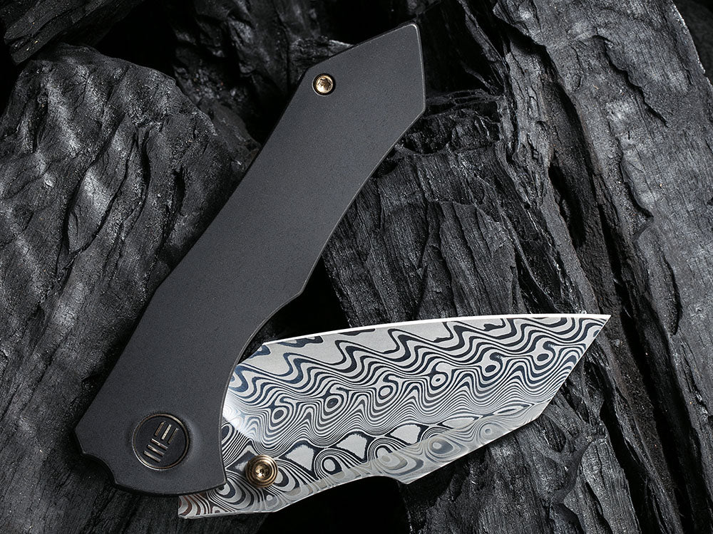 WE Knife - WE22005 HIFIN - Reverse Tanto 20CV Blade - Titanium Handle