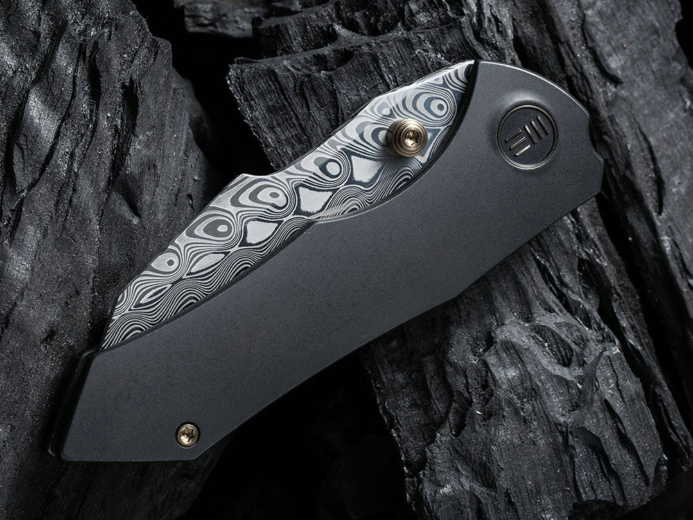 WE Knife - WE22005 HIFIN - Reverse Tanto 20CV Blade - Titanium Handle