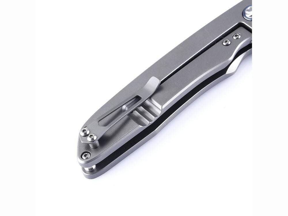 ** HERE NOW ** Kizer Ki4510 - Matanzas - S35VN Blade - Carbon Fiber or Micarta - True Talon