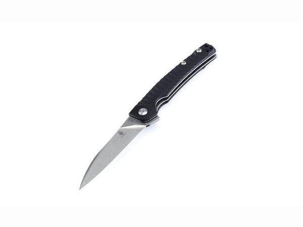 Kizer Cutlery Vanguard V3457N1 - Splinter Knife - N690 Blade - black G10 handle - True Talon