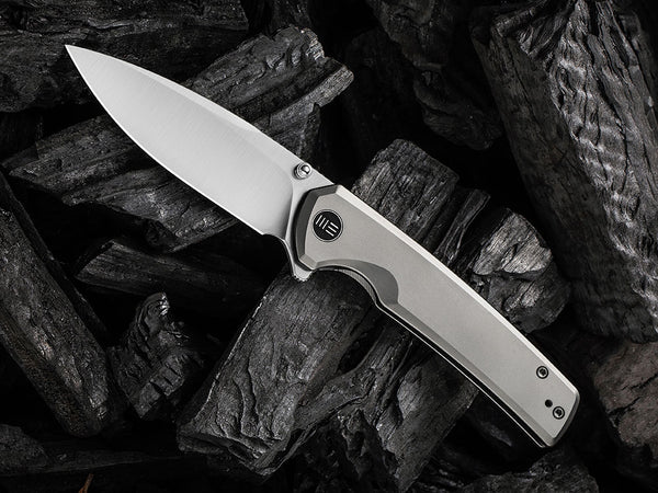 WE Knife WE21014C SUBJUGATOR - 20CV or DAMASTEEL BLADE - Titanium Handle